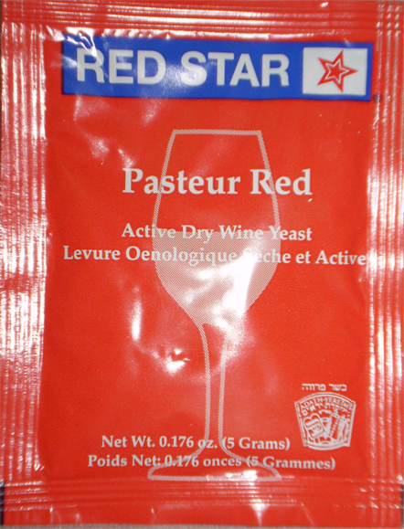 Pasteur Rouge