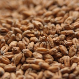 Wheat Malt German Premium - Click Image to Close
